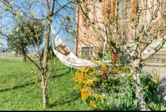 Spilamberto B&B Il Roseto מראה חיצוני תמונה